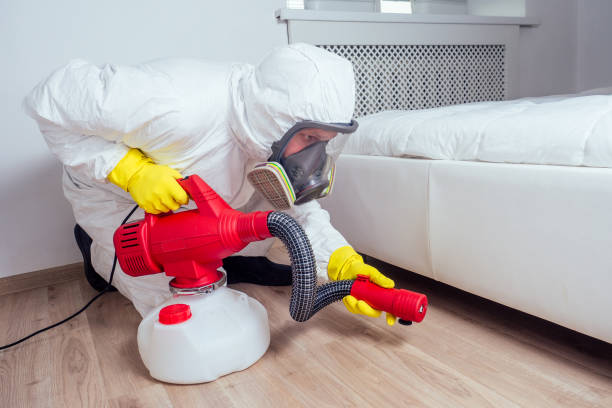 Best Pest Prevention Services  in Bedford, IA