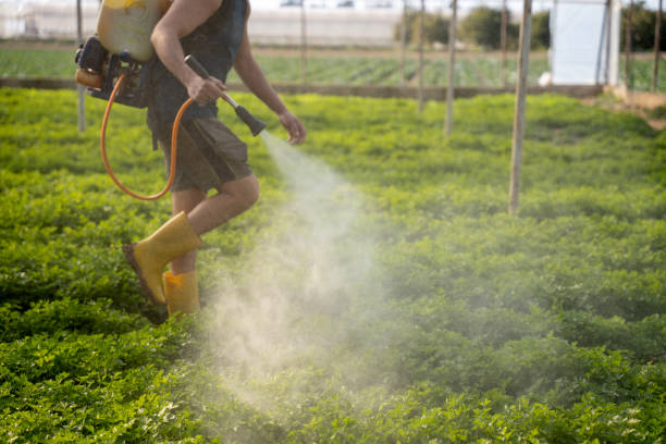 Best Wildlife Control Services  in Bedford, IA