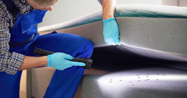 Best Pest Inspection Near Me  in Bedford, IA