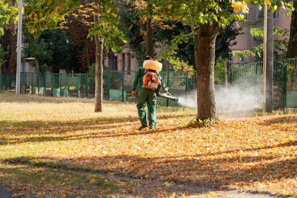 Best Pest Removal Services  in Bedford, IA