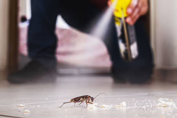Professional Pest Control in Bedford, IA
